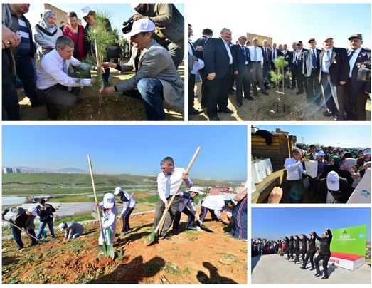 Pendik’te ağaç şenliği