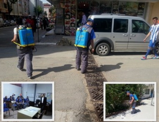 Haşere avcıları işbaşında