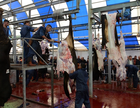 Kurnaköy’de “monoray”lı kesim