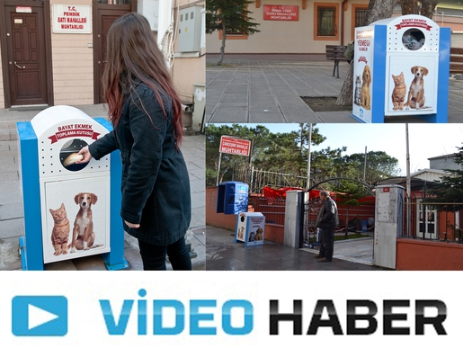 Bayat ekmeklerin yeni adresi muhtarlık