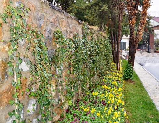 Pendik'in duvarları temiz kalsın