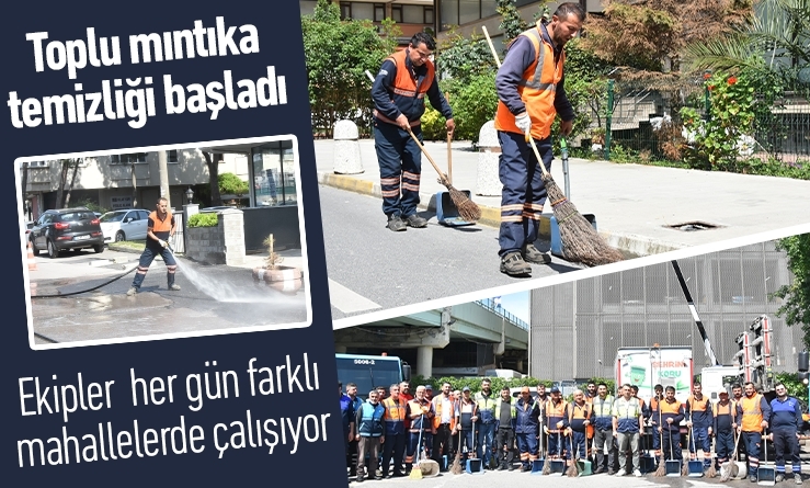 Toplu mıntıka temizliği başladı
