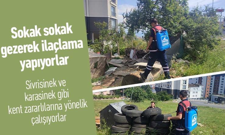 Sokak sokak gezerek ilaçlama yapıyorlar