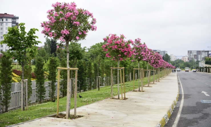 Peyzaj çalışmalarıyla kent estetiği artıyor
