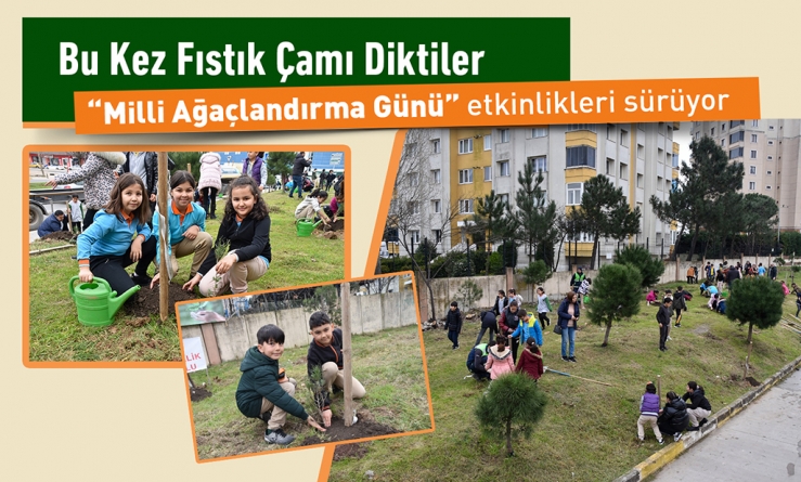 Bu Kez Fıstık Çamı Diktiler