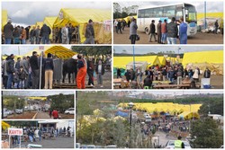 Pendik'te kurbanlıklara yoğun ilgi