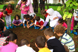 Pendik'in küçük bahçıvanları