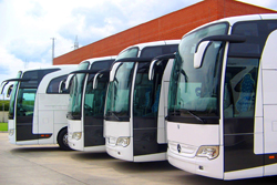 Pendik'e şehirlerarası otobüs terminali