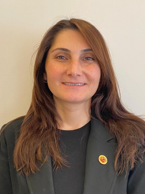 Nilüfer Gökçe